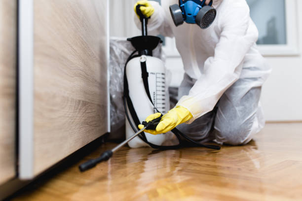 Best Best Pest Control Companies  in Copperas Cove, TX