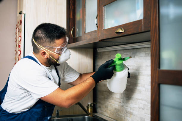 Best Flea Control Services  in Copperas Cove, TX