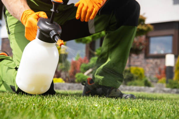 Best Emergency Pest Control  in Copperas Cove, TX