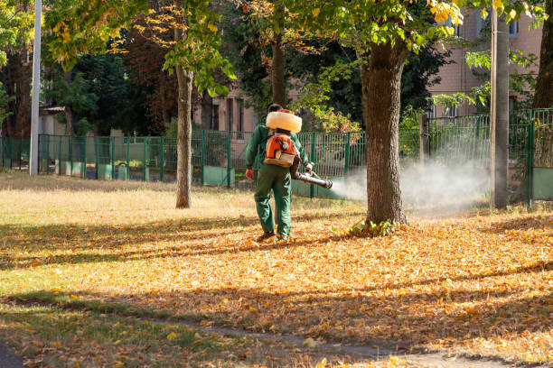 Best Wildlife Control Services  in Copperas Cove, TX