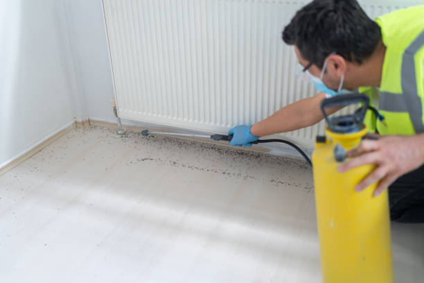 Best Ant Control Services  in Copperas Cove, TX
