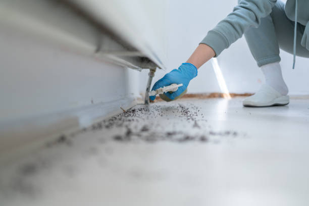 Best Commercial Pest Control Services  in Copperas Cove, TX
