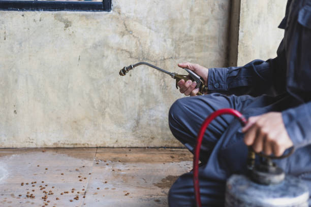 Best Pest Control for Businesses  in Copperas Cove, TX