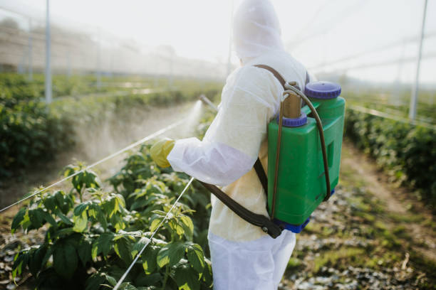 Trusted Copperas Cove, TX Pest Control Experts